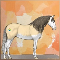 Horse Color:Amber Cream Champagne Splash