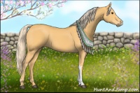 Horse Color:Palomino 