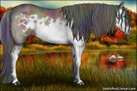 Horse Color:Platinum Nacre Bay Splash Frame 