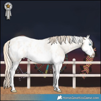 Horse Color:White Spotted Perlino Roan Splash Blanket Rabicano 
