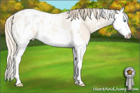 Horse Color:White Spotted Perlino Roan Splash Blanket Rabicano 