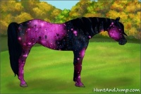 Horse Color:ERROR: UNKNOWN ANOMALY and ERROR: UNKNOWN ANOMALY