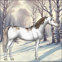 Horse Color:Liver Red Onyx Sabino Frame 