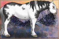 Horse Color:Black Splash Frame