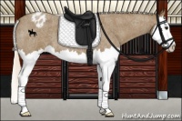 Horse Color:Silver Smoky Blue Roan Splash Appaloosa