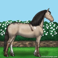 Horse Color:White Spotted Liver Red Dun 