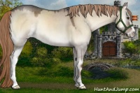 Horse Color:Liver Red Dun Roan Onyx Sabino 