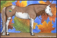 Horse Color:Red Roan Splash Appaloosa 