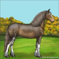 Horse Color:White Spotted Chocolate Palomino