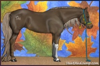 Horse Color:Chocolate Palomino 