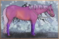 Horse Color:Watercolor Silver Bay
