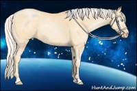 Horse Color:Silver Buckskin Pearl 