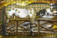 Horse Color:Plaid Bay Frame