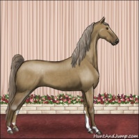 Horse Color:Chocolate Palomino Dun Brindle 