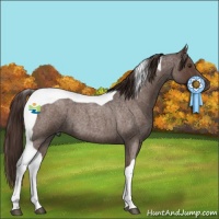 Horse Color:Liver Red Roan Tobiano 