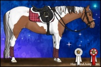 Horse Color:Bay Tobiano Varnish 