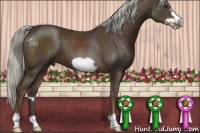 Horse Color:Liver Chestnut Frame 
