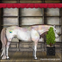 Horse Color:Nacre Red Dun Roan Onyx Sabino Splash Frame Rabicano