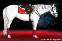 Horse Color:Palomino Sabino Splash Appaloosa