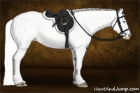 Horse Color:Silver Perlino Roan Dun 
