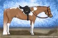 Horse Color:Chestnut Tobiano 