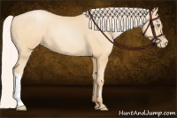 Horse Color:Silver Buckskin Pearl 