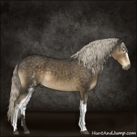 Horse Color:White Spotted Chocolate Palomino 
