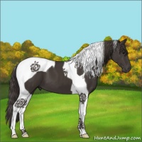 Horse Color:Smoky Black Tobiano 