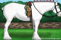 Horse Color:Silver Classic Cream Champagne Dun Appaloosa