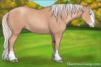 Horse Color:Silver Classic Champagne Splash 