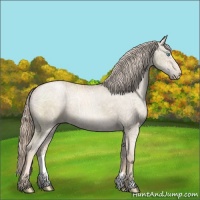 Horse Color:Chocolate Palomino Ice Roan Pearl 