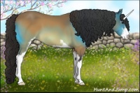 Horse Color:Buckskin Sabino