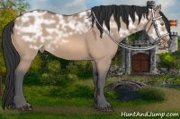 Horse Color:Bay Ice Dun