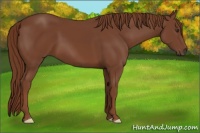 Horse Color:Chestnut Frame