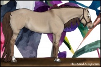 Horse Color:Liver Red Dun Sabino