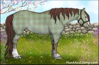 Horse Color:Plaid Liver Red Dun Sabino Rabicano