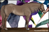 Horse Color:Liver Red Dun Sabino 