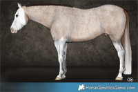 Horse Color:Bay Roan Dun Splash Varnish Rabicano Brindle 