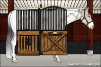 Horse Color:White Spotted Brown Dun Splash Tobiano 