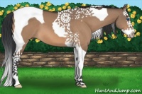 Horse Color:Bay Dun Splash Tobiano