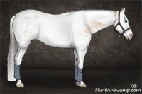 Horse Color:White Spotted Buckskin Dun Splash Tobiano Rabicano 