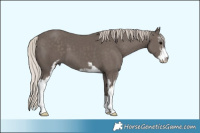 Horse Color:Silver Black Sabino 