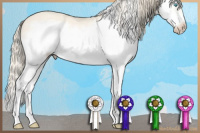 Horse Color:White Spotted Perlino Dun Sabino Splash Frame