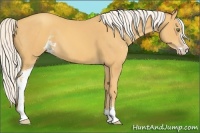 Horse Color:Silver Classic Cream Champagne Sabino
