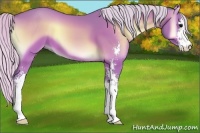 Horse Color:Watercolor Silver Bay Onyx Sabino