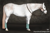 Horse Color:White Spotted Chestnut Sabino 