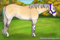 Horse Color:Silver Buckskin Onyx 