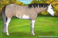 Horse Color:Bay Roan Dun Splash
