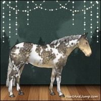 Horse Color:White Spotted Silver Smoky Black Chinchilla 