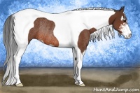 Horse Color:Bay Sabino Tobiano Rabicano